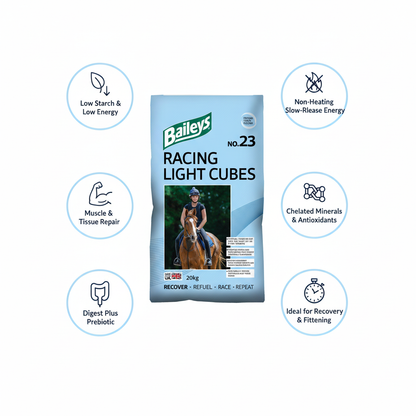 Baileys No.23 Racing Light Cubes Infographic