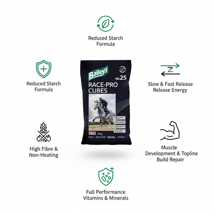 Baileys No.25 Race-Pro Cubes Infographic