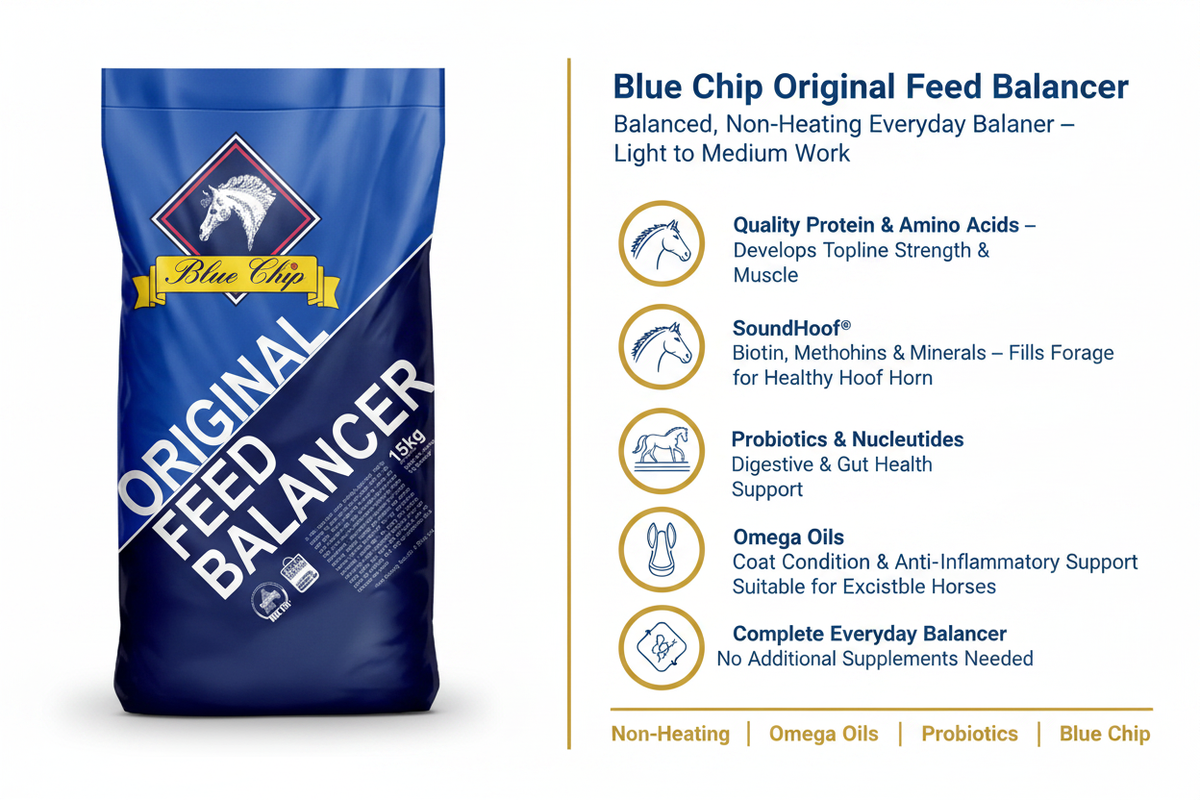 Blue Chip Original Feed Balancer Infographic