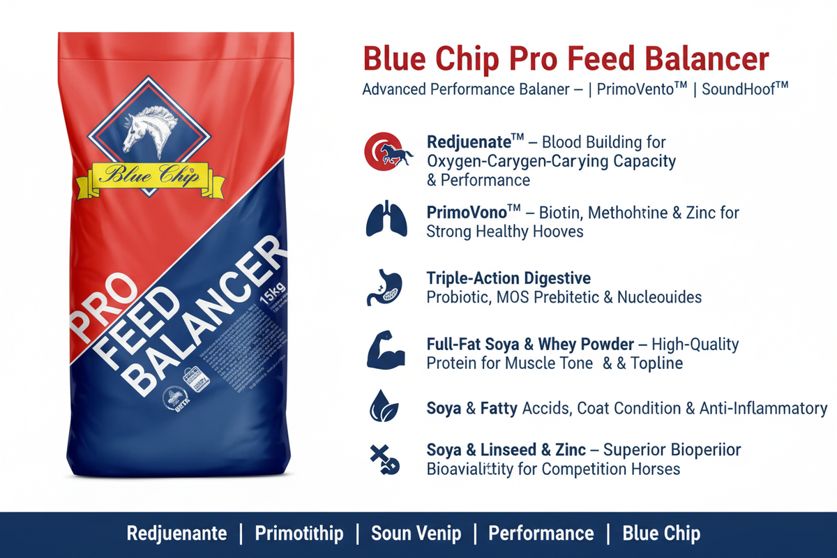 Blue Chip Pro Feed Balancer Infographic