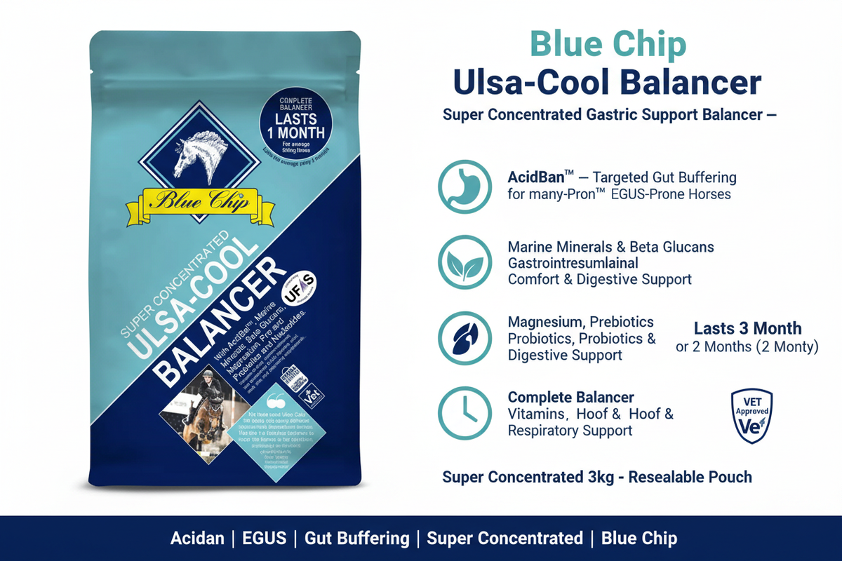 Blue Chip Ulsa-Cool Infographic