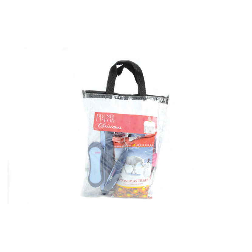 Lincoln Brush Up for Christmas Gift Bag