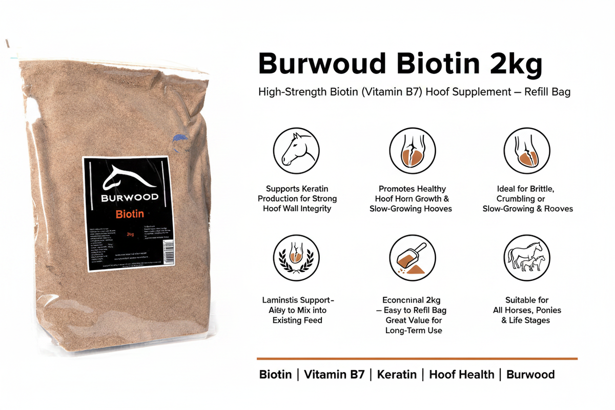 Burwood Biotin Infographic