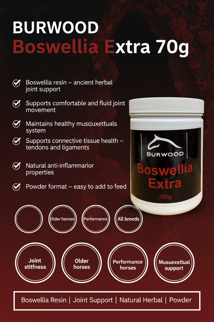 Burwood Boswellia Extra 700g Infographic