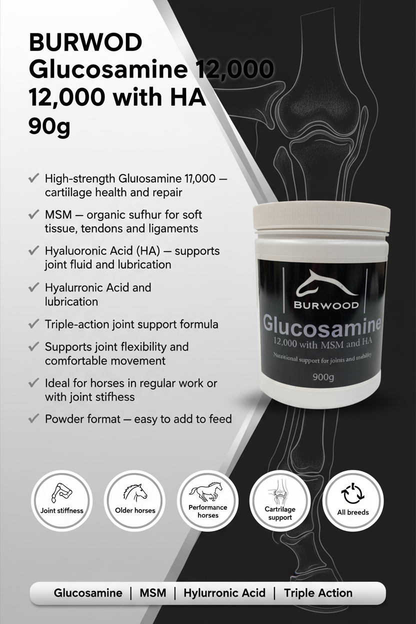 Burwood Glucosamine 12,000 with MSM & HA Infographic