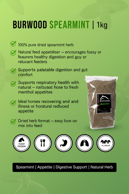 Burwood Spearmint 1kg Infographic
