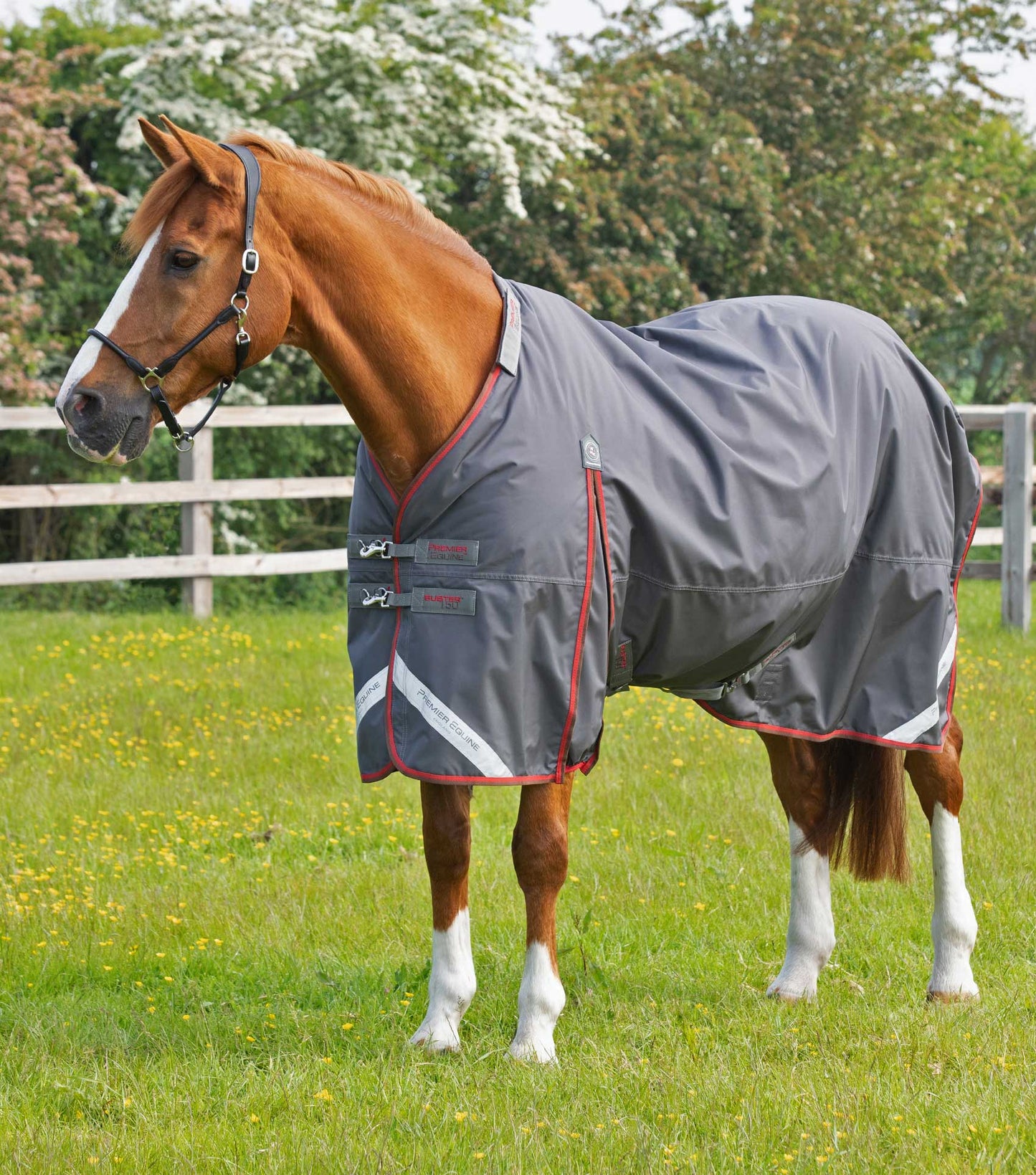 Premier Equine Buster 150g Turnout Rug with Classic Neck Cover