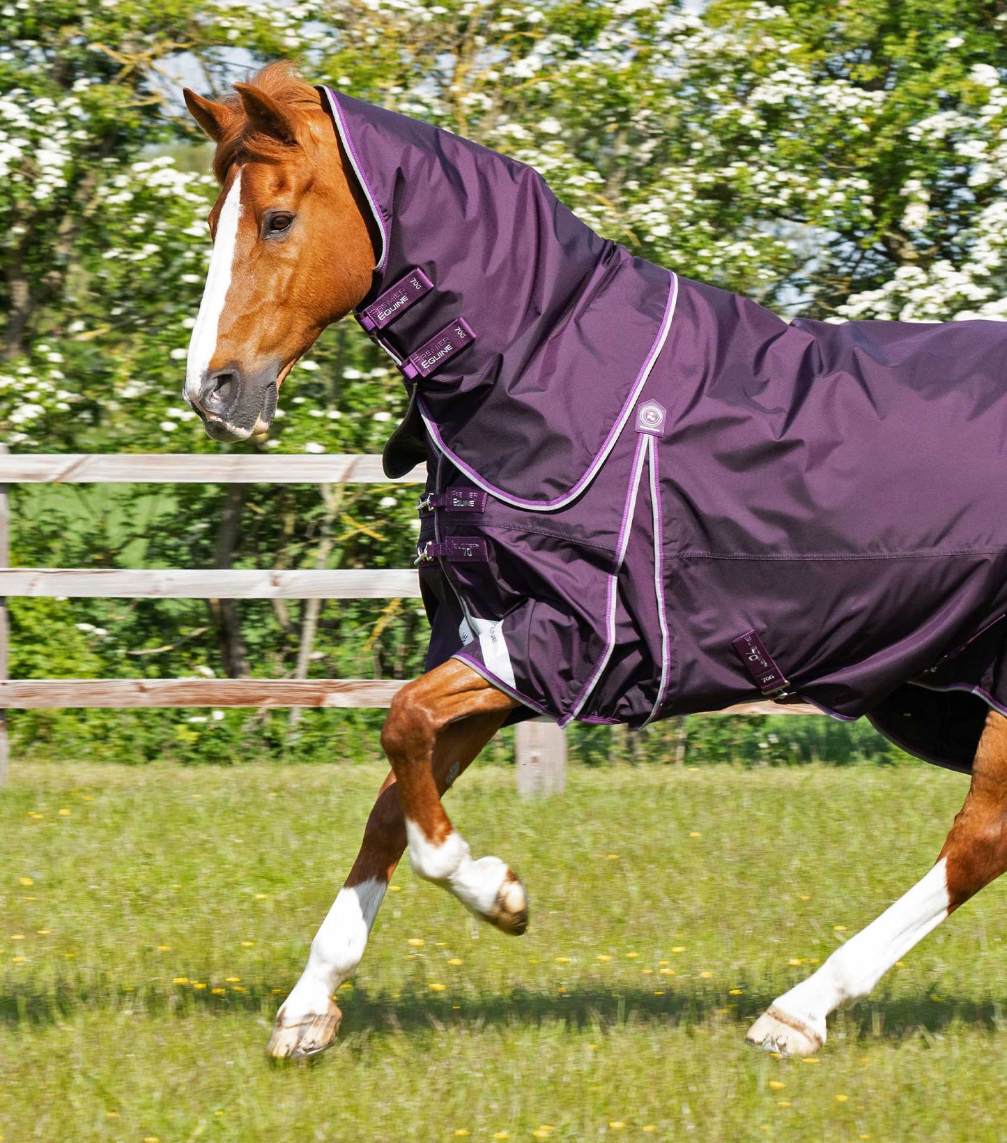 Premier Equine Buster 70g Turnout Rug with Classic Neck Cover