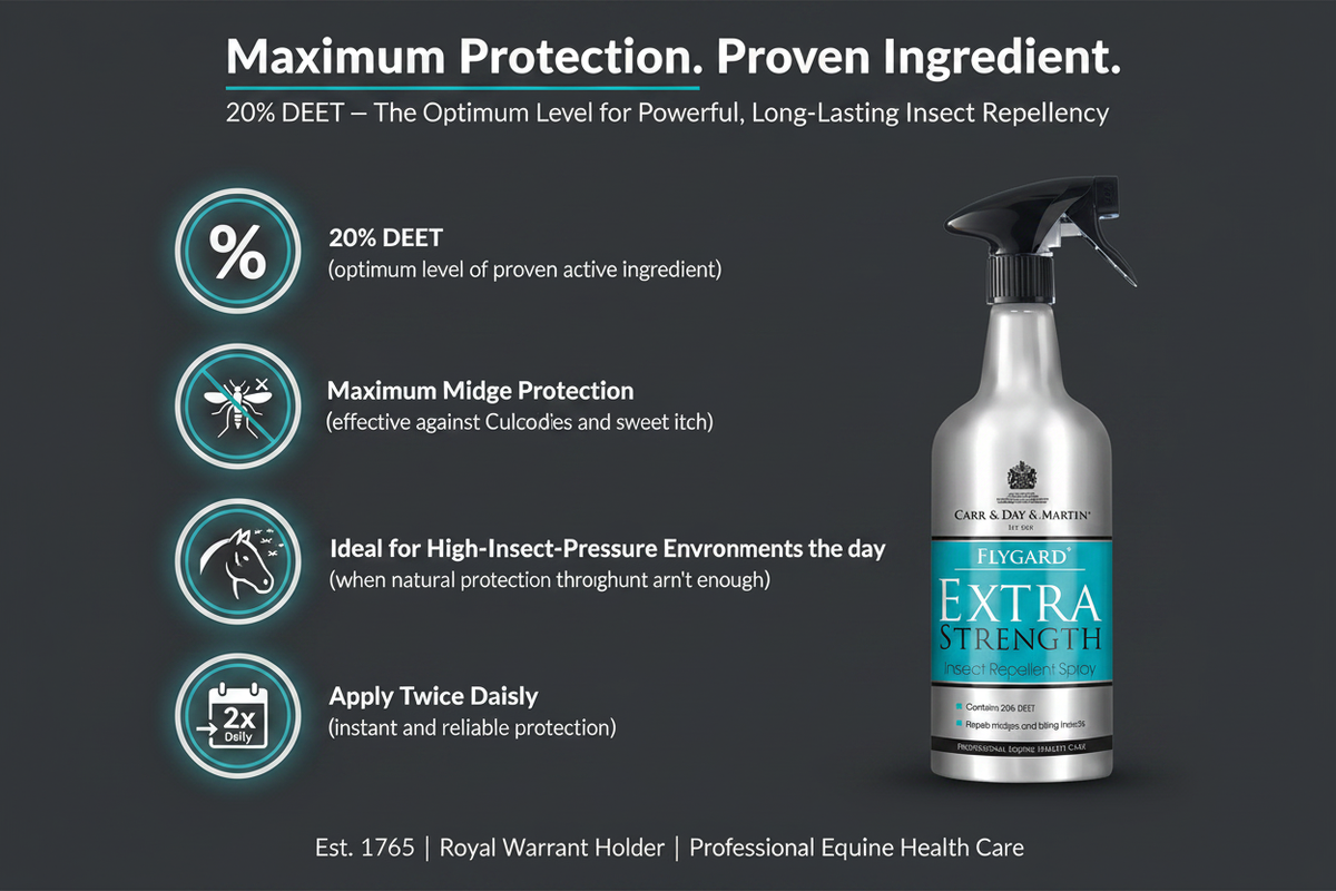 Carr & Day & Martin Flygard Extra Strength Infographic
