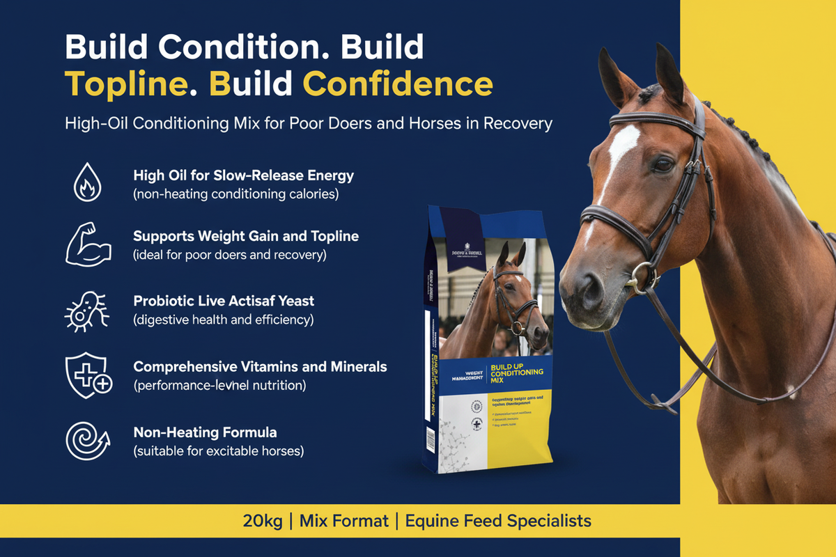 Dodson & Horrell Build Up Conditioning Mix 20kg Infographic