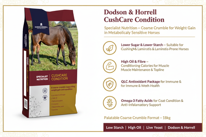 Dodson & Horrell CushCare Condition Infographic
