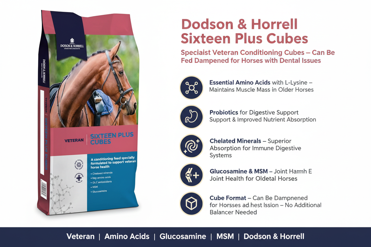 Dodson & Horrell Sixteen Plus Cubes Infographic