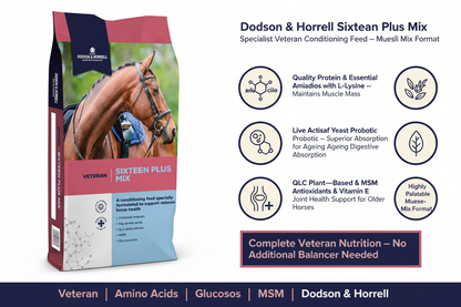 Dodson & Horrell Sixteen Plus Mix Infographic