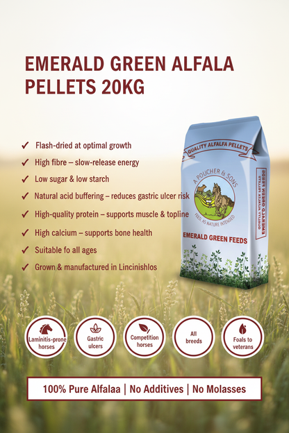 Emerald Green Alfalfa Pellets 20kg Infographic