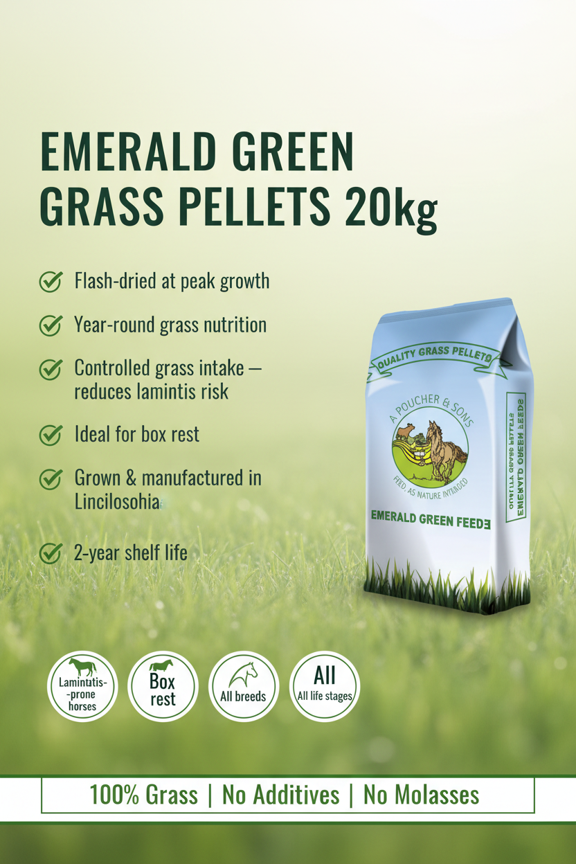Emerald Green Grass Pellets 20kg Infographic