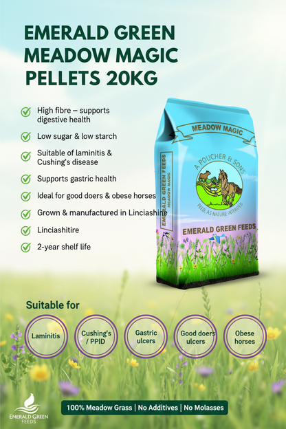 Emerald Green Meadow Magic Pellets 20kg Infographic