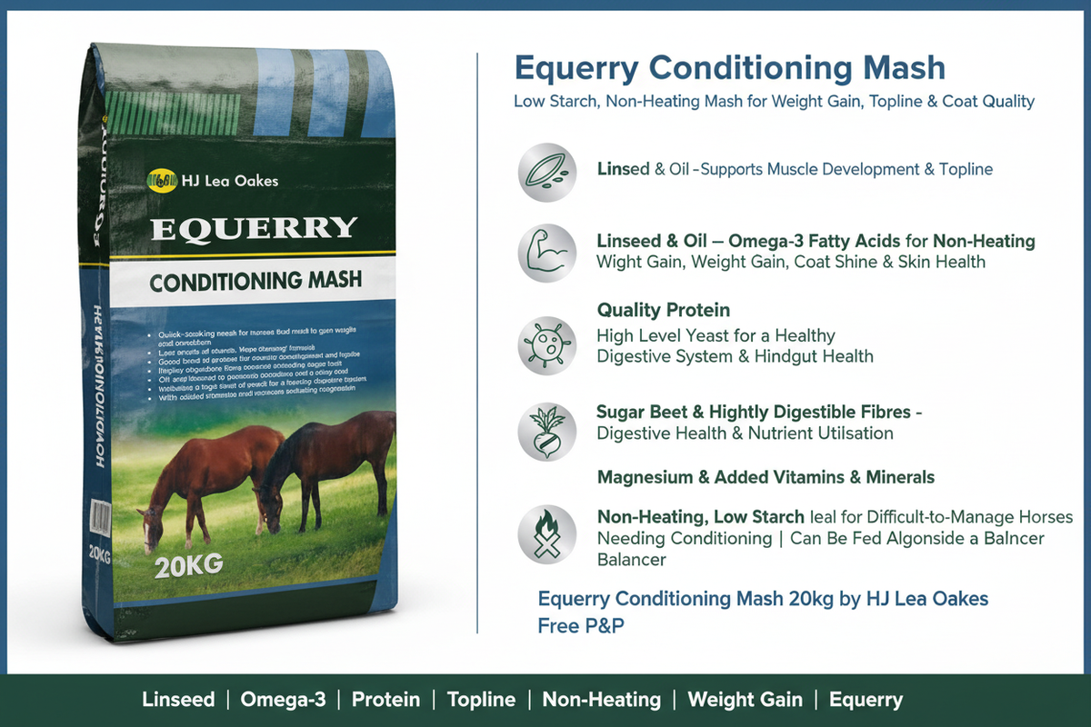 Equerry Conditioning Mash Infographic