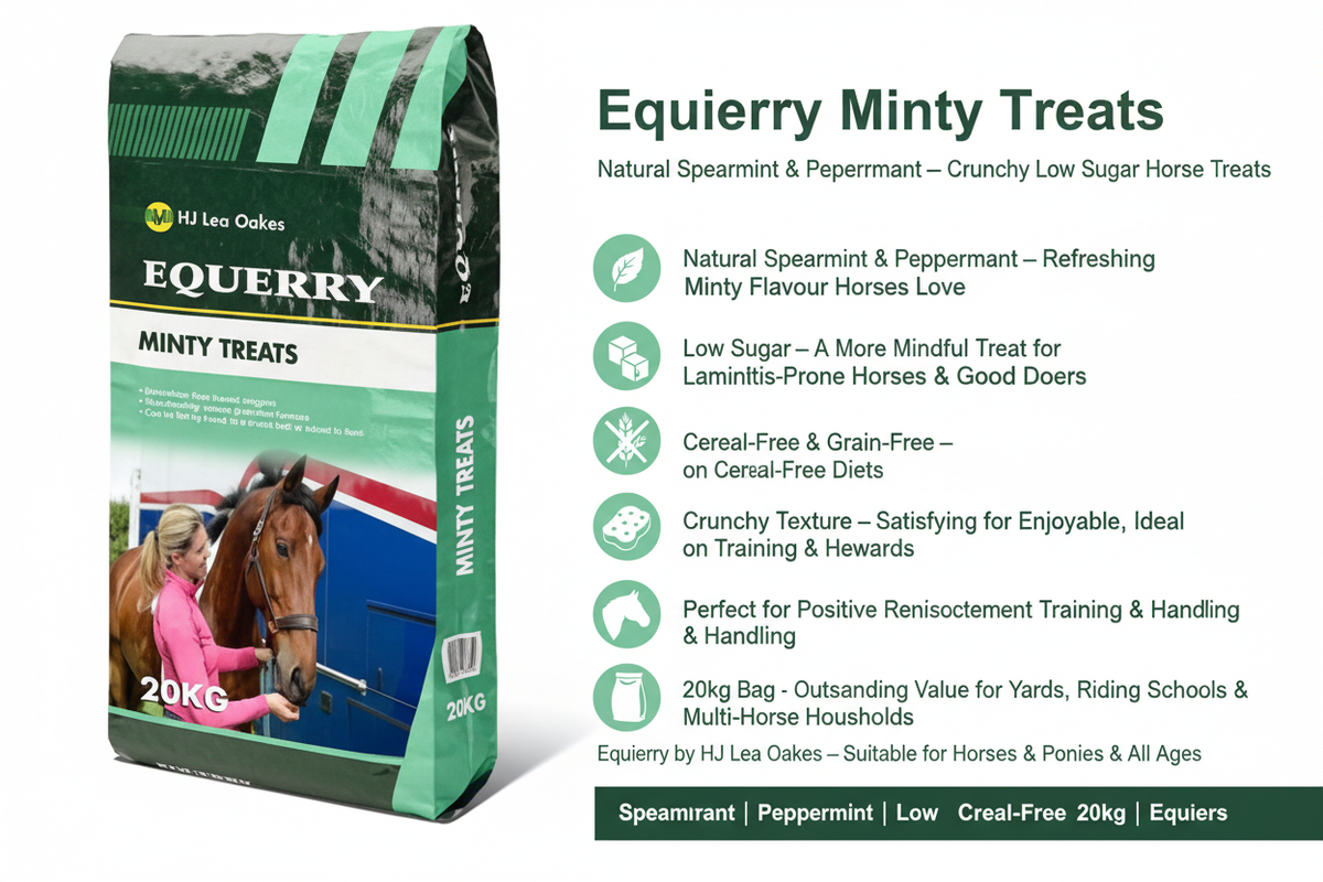 Equerry Minty Treats Infographic