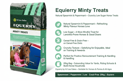 Equerry Minty Treats Infographic