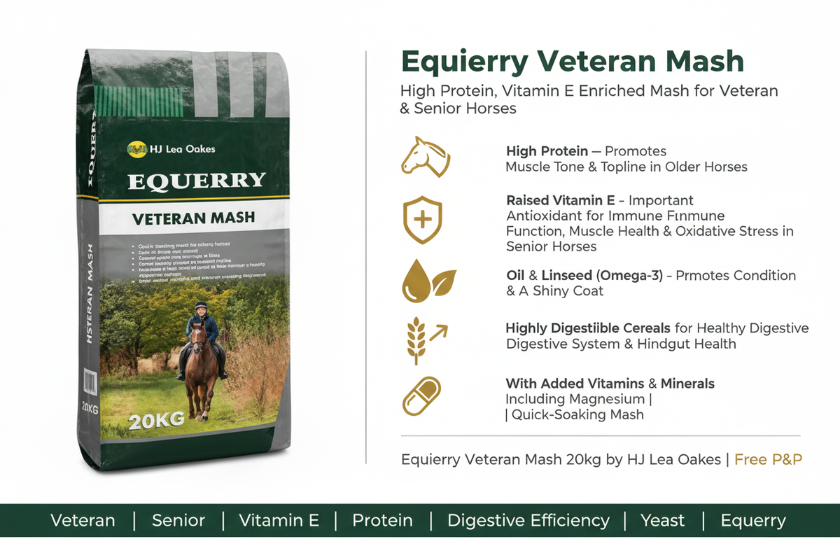 Equerry Veteran Mash Infographic