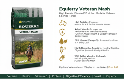 Equerry Veteran Mash Infographic