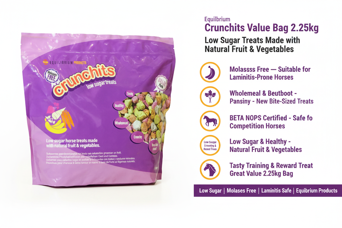 Equilibrium Crunchits Infographic