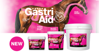 NAF Five Star Gastri Aid