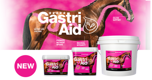 NAF Five Star Gastri Aid