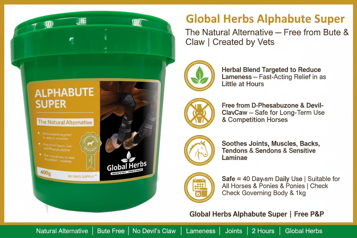 Global Herbs Alphabute Super Infographic