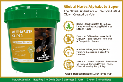 Global Herbs Alphabute Super Infographic