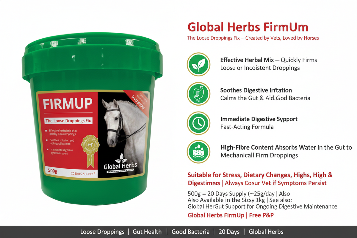 Global Herbs FirmUp Infographic