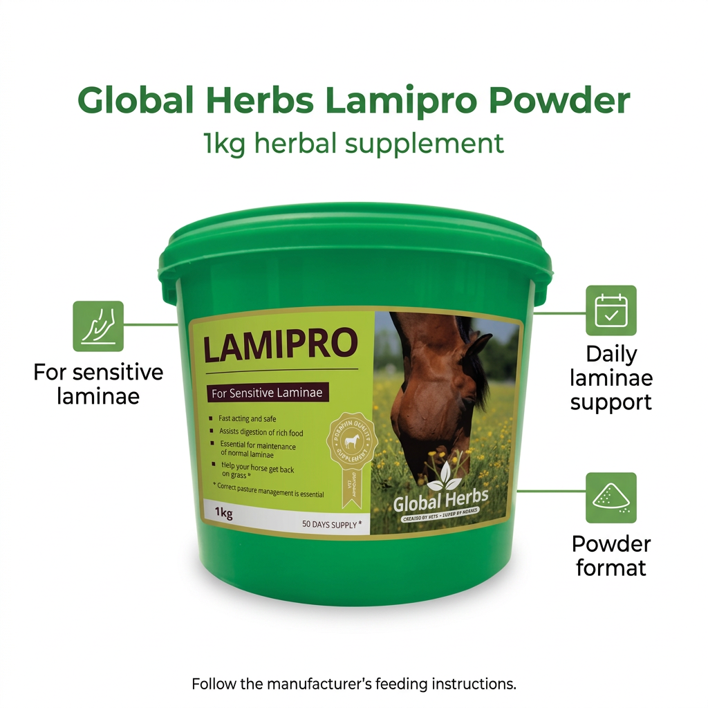Global Herbs Lamipro product infographic