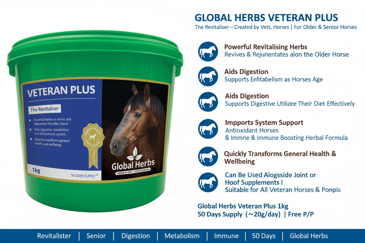 Global Herbs Veteran Plus Infographic