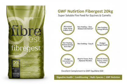 GWF Nutrition Fibregest Infographic
