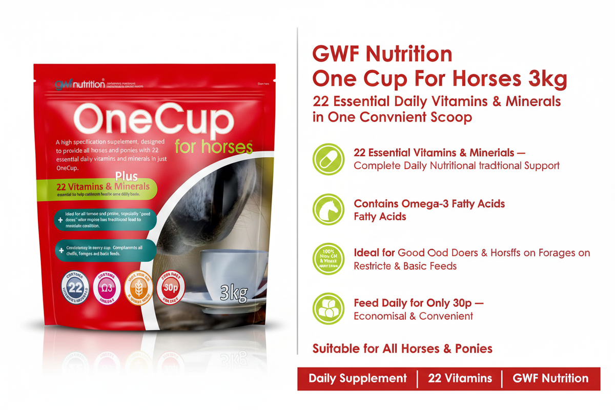 GWF Nutrition One Cup Infographic