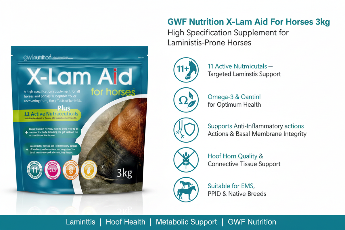 GWF Nutrition X-Lam Aid Infographic
