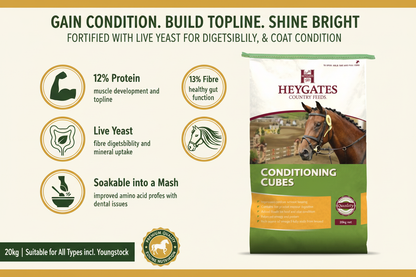 Heygates Condition Cubes 20kg Infographic
