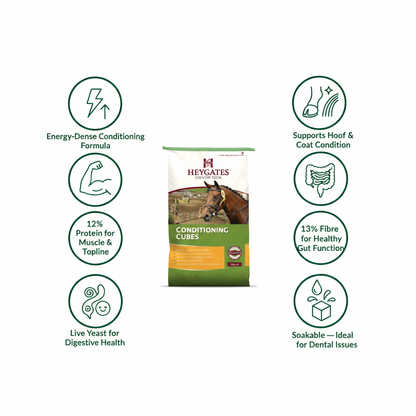 Heygates Condition Cubes Infographic