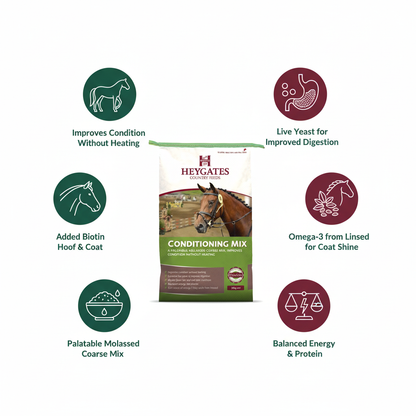 Heygates Horse & Pony Conditioning Mix Infographic