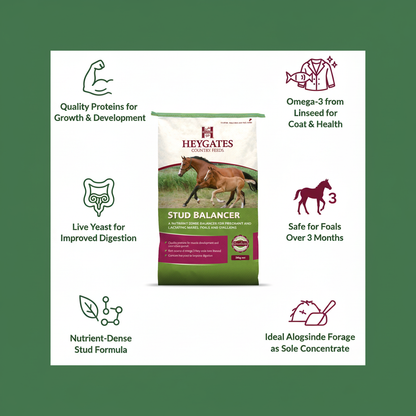 Heygates Stud Balancer Pellets Infographic