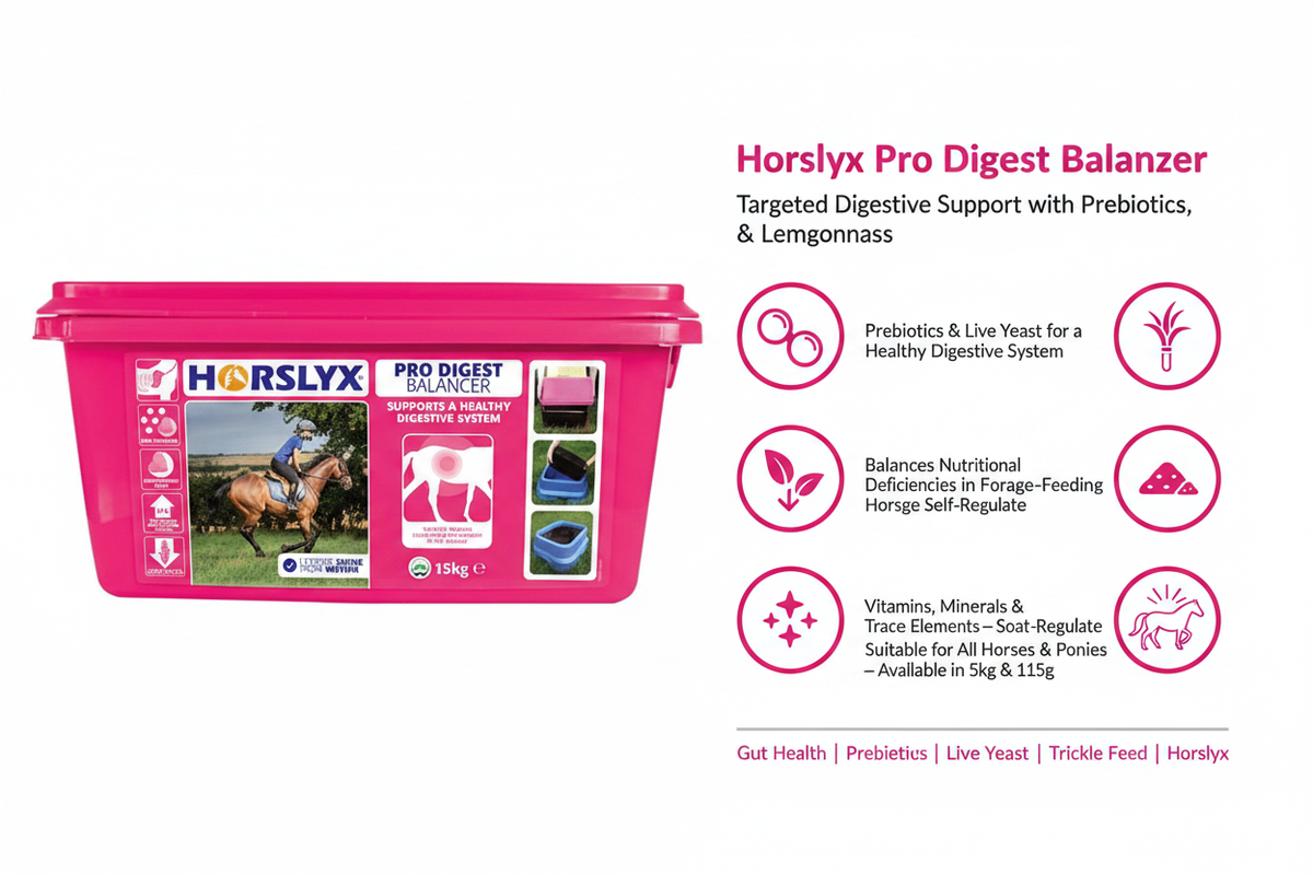 Horslyx Pro Digest Balancer Infographic