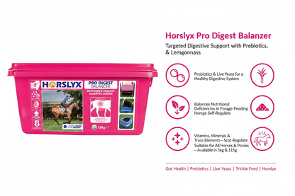 Horslyx Pro Digest Balancer Infographic