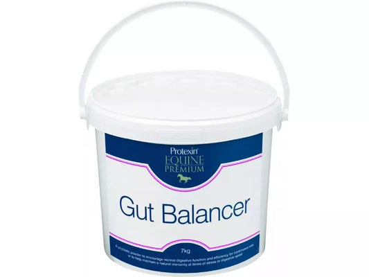 A container of Protexin Equine Gut Balancer with a blue scoop next to it, showing the product and its packaging.