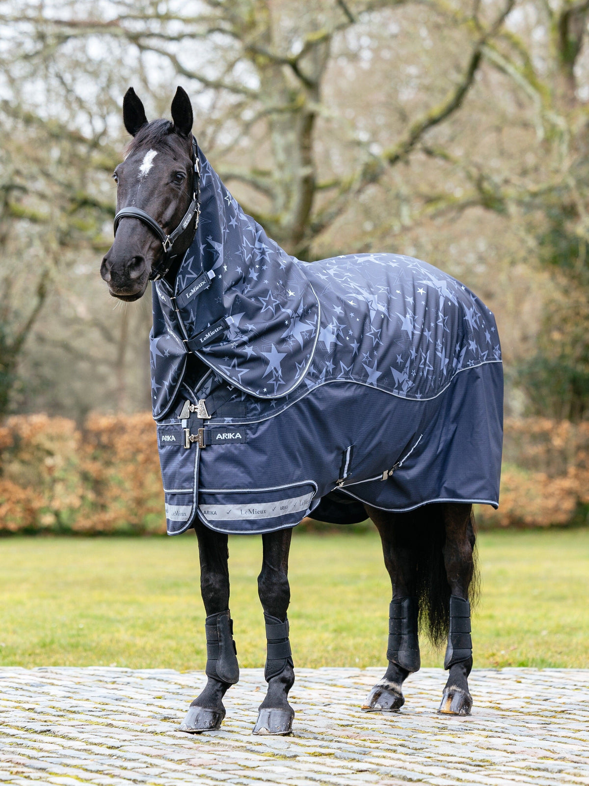 LeMieux Arika Star 200g Pony Turnout Rug Navy