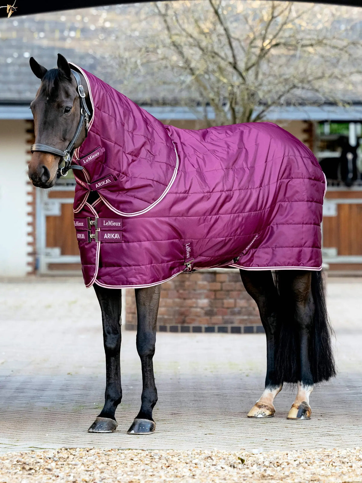 LeMieux Arika Stable-Tek Rug with Neck 200g Blackberry