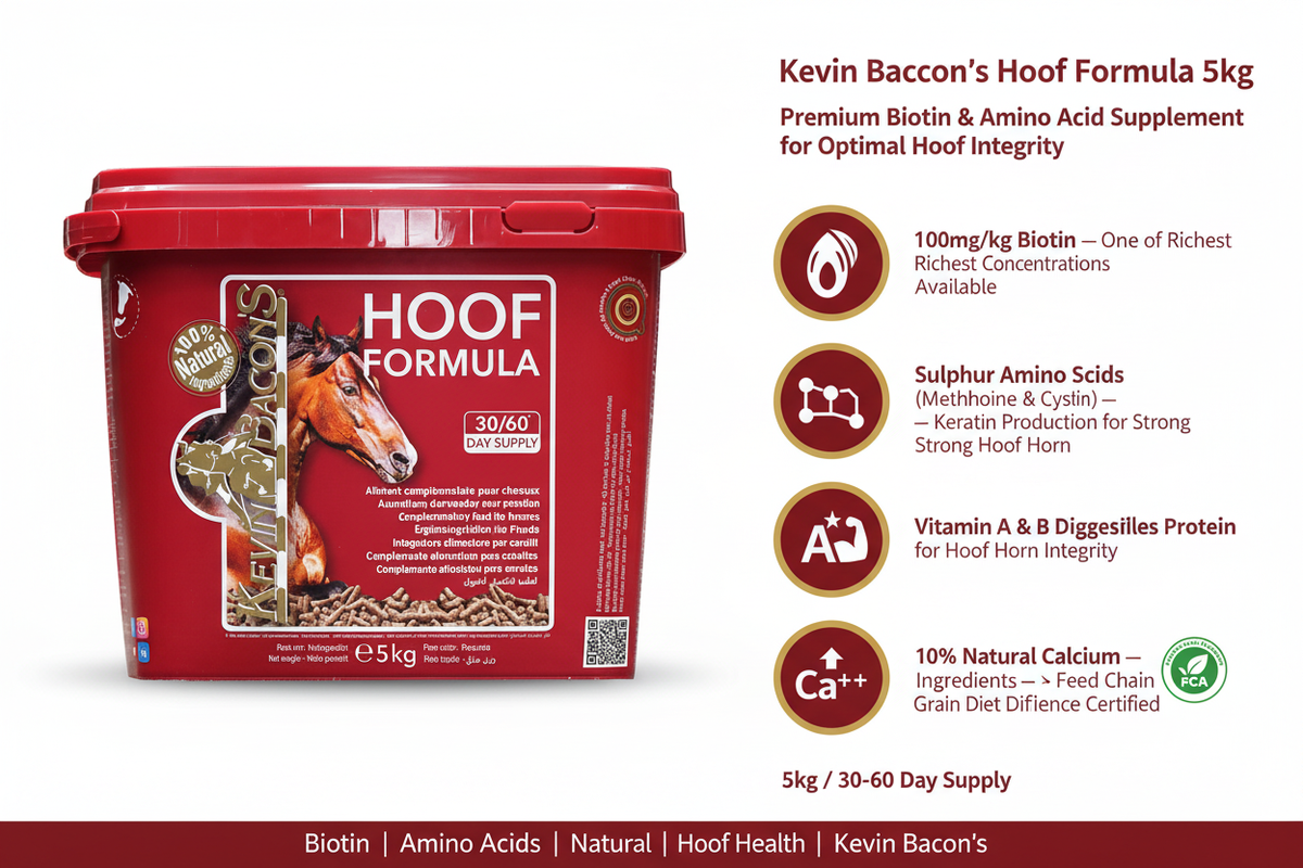 Kevin Bacon's Hoof Formula Infographic