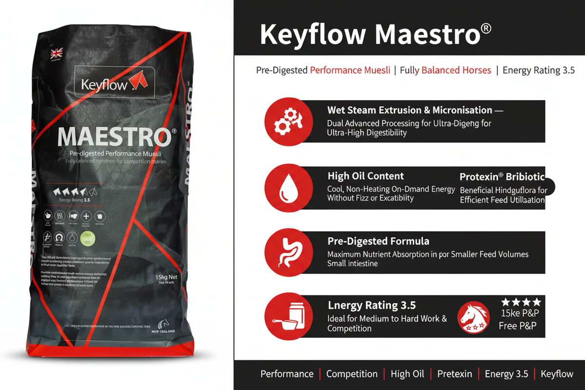 Keyflow Maestro Infographic
