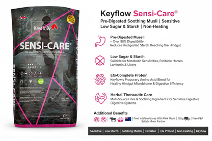 Keyflow Sensi-Care Infographic