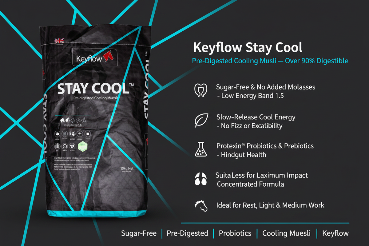 Keyflow Stay Cool Infographic