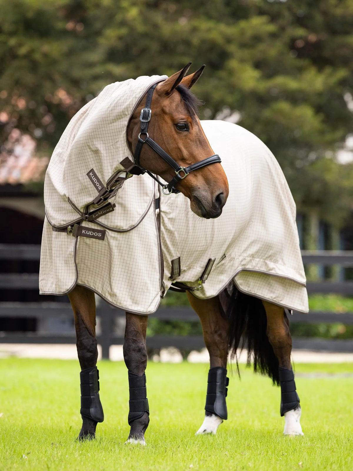 LeMieux Kudos Field Rug with Neck Stone